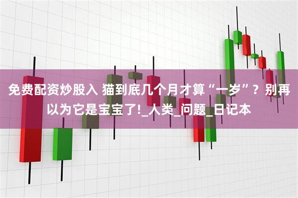 免费配资炒股入 猫到底几个月才算“一岁”？别再以为它是宝宝了!_人类_问题_日记本