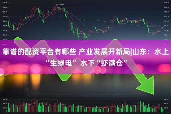 靠谱的配资平台有哪些 产业发展开新局|山东:水上“生绿电” 水下“虾满仓”